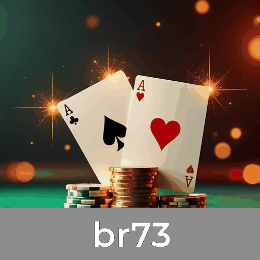 br73: O Melhor em Serviço Profissional e Segurança